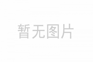 2系列半球型網(wǎng)絡(luò)攝像機(jī)